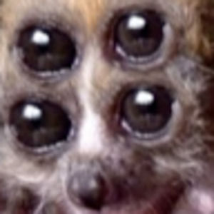 Meet your Posher, Likethis